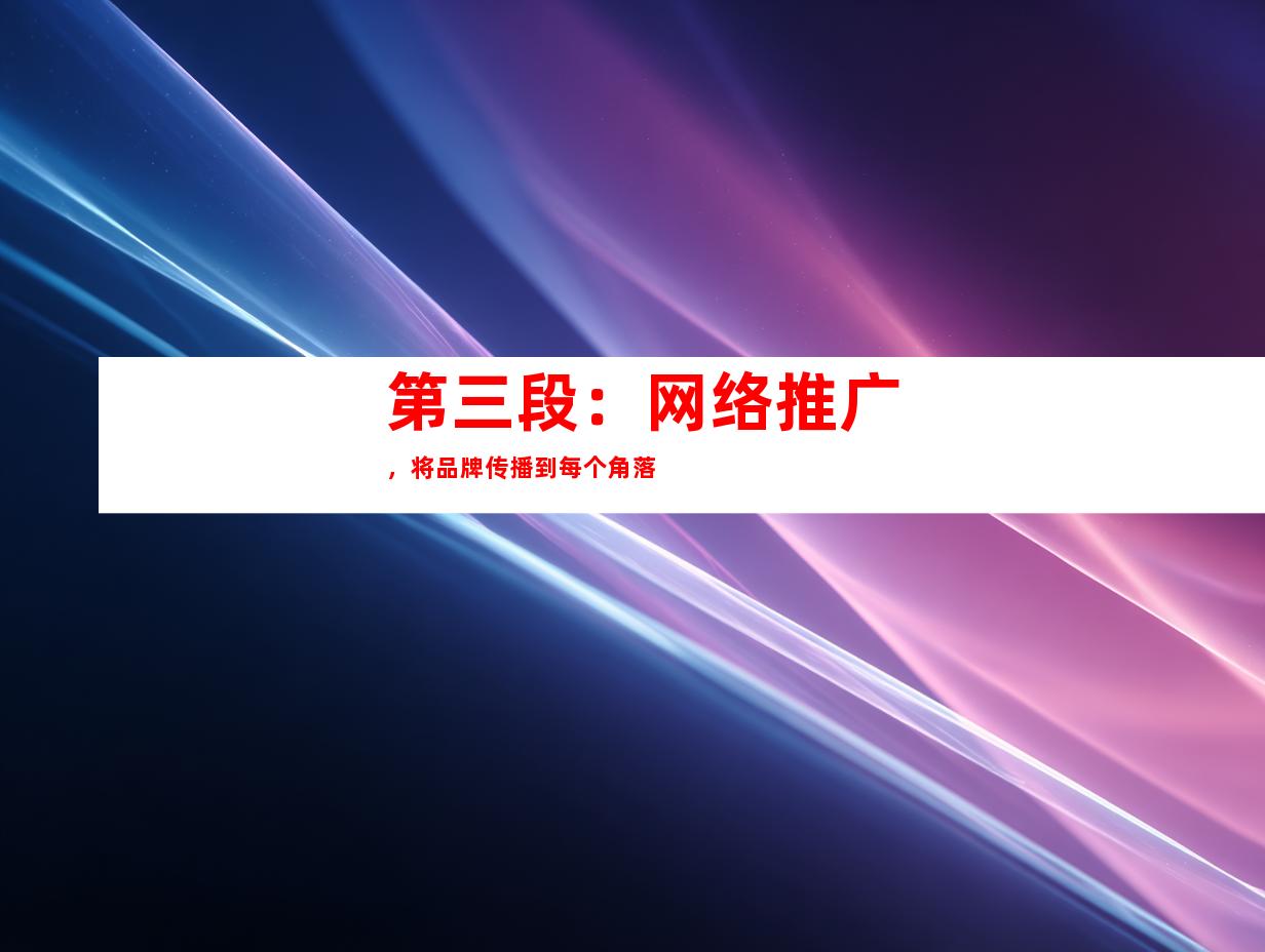 第三段：网络推广，将品牌传播到每个角落