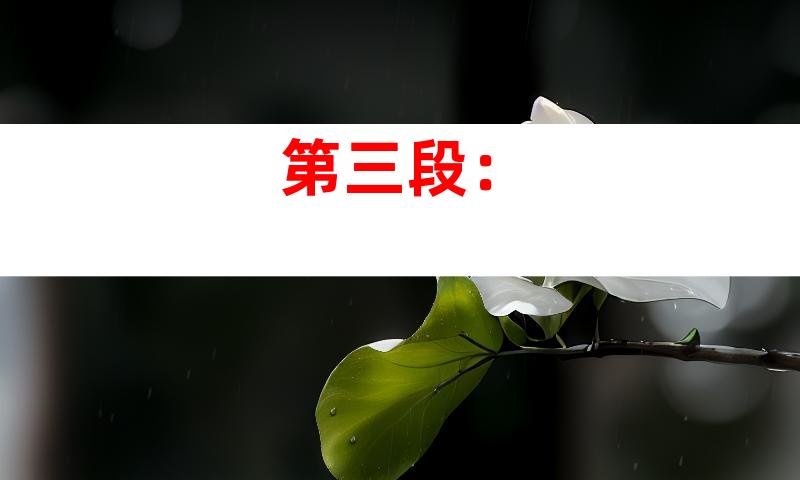 第三段：