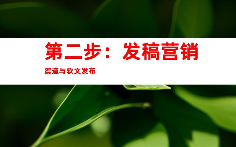 第二步：发稿营销渠道与软文发布