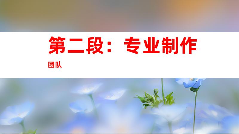 第二段：专业制作团队
