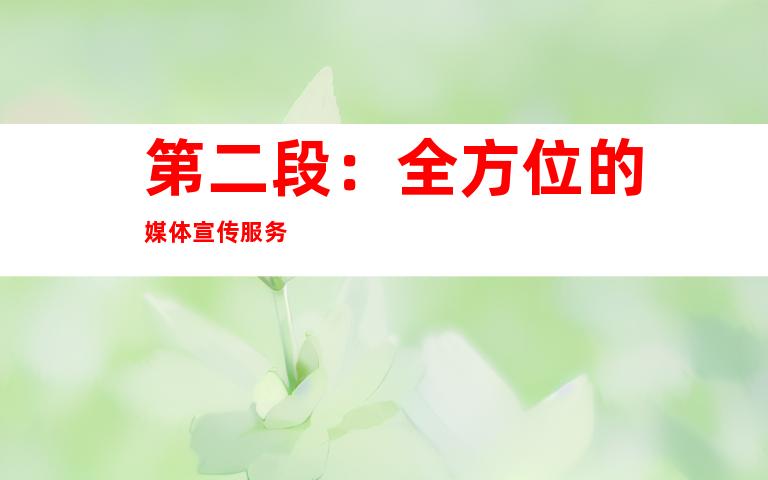 第二段：全方位的媒体宣传服务
