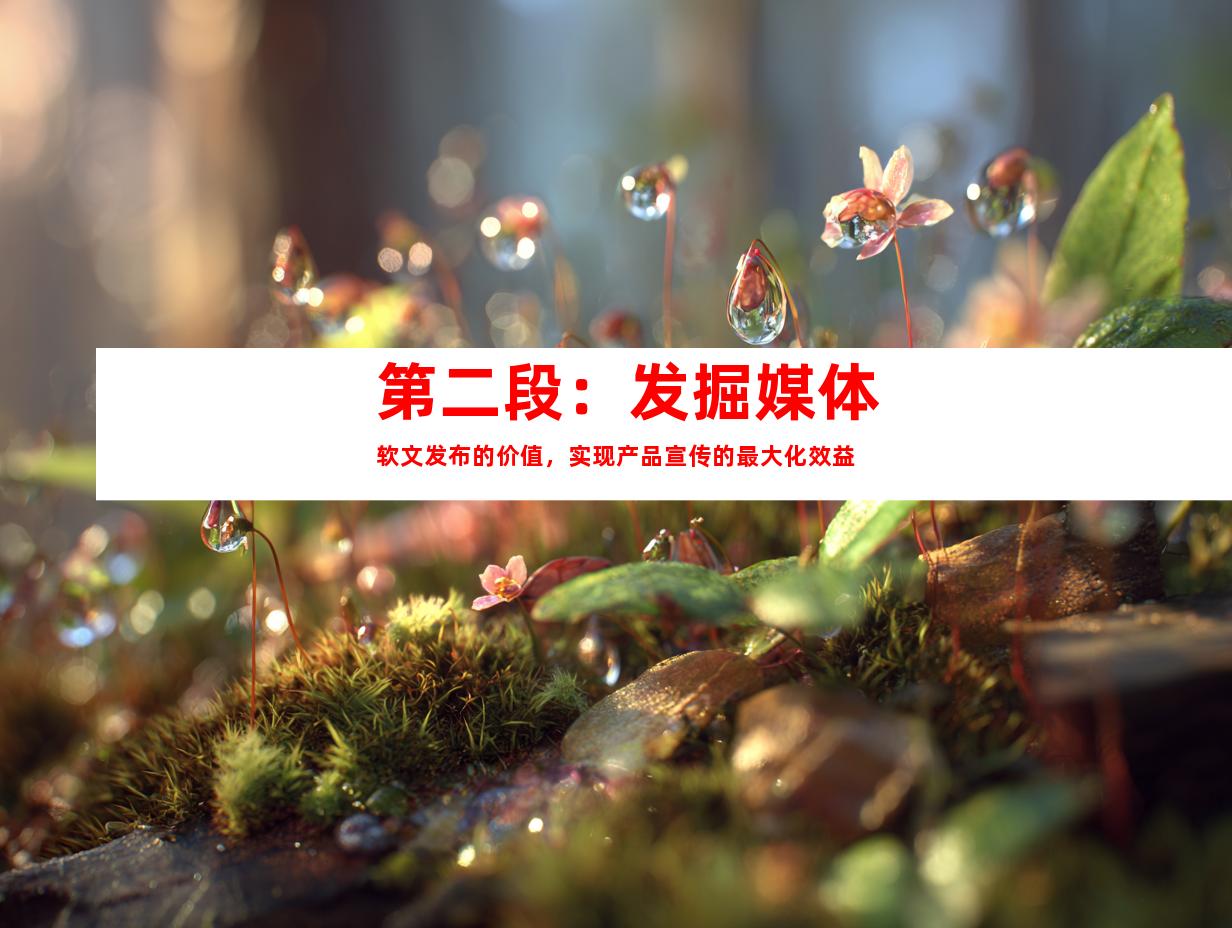 第二段：发掘媒体软文发布的价值，实现产品宣传的最大化效益
