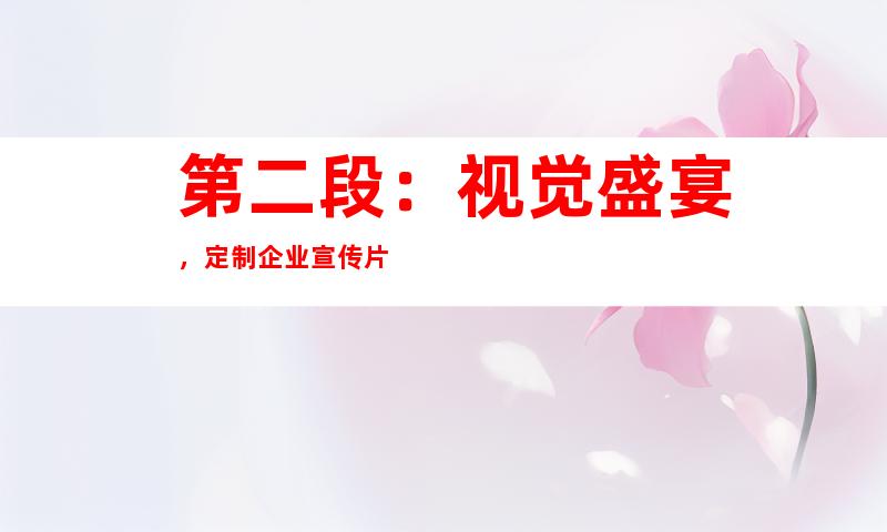 第二段：视觉盛宴，定制企业宣传片