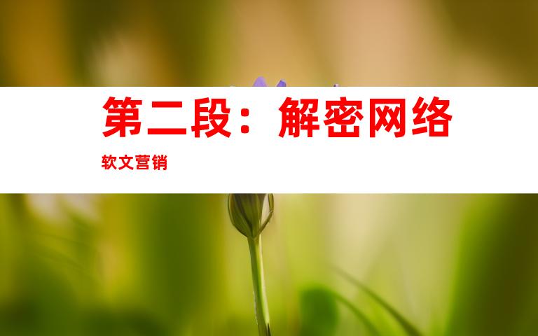 第二段：解密网络软文营销