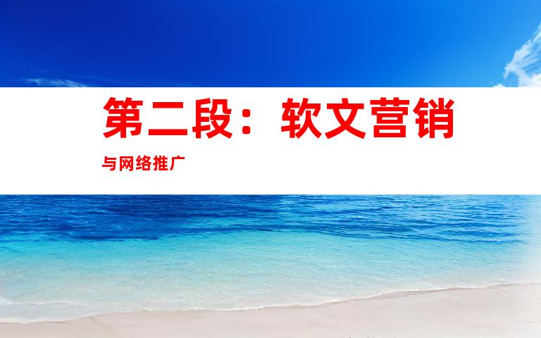 第二段：软文营销与网络推广