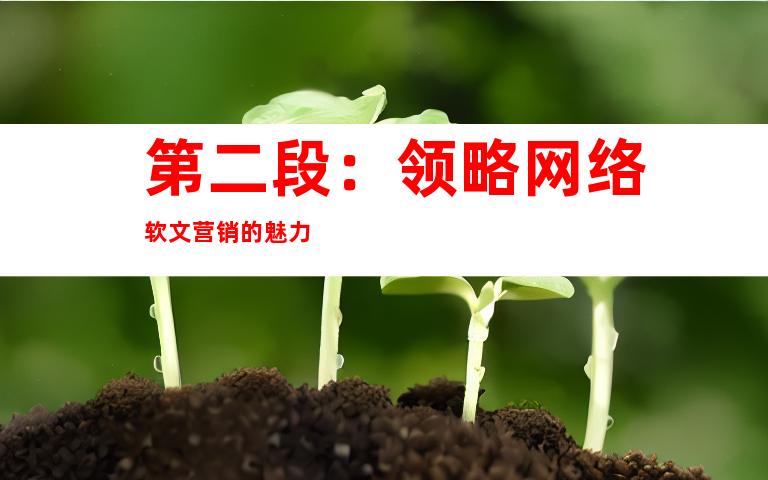 第二段：领略网络软文营销的魅力