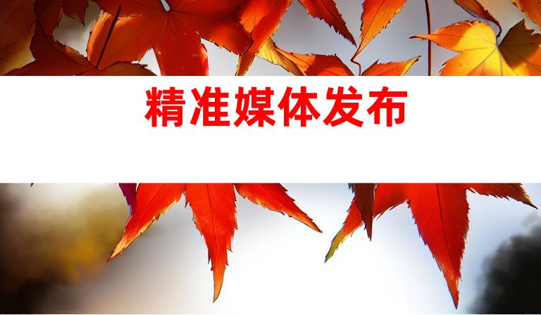 精准媒体发布