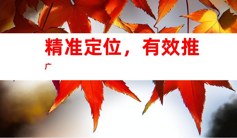 精准定位，有效推广