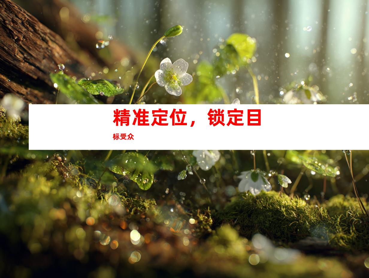 精准定位，锁定目标受众