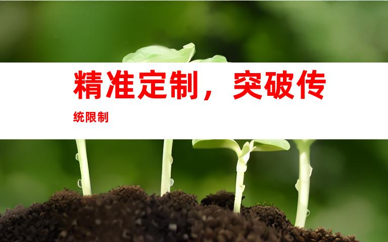 精准定制，突破传统限制