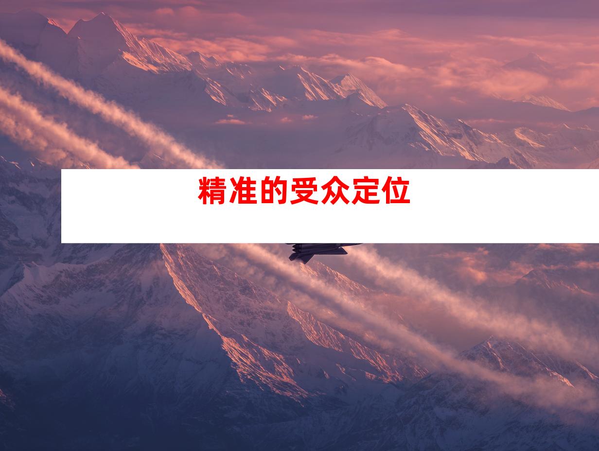精准的受众定位
