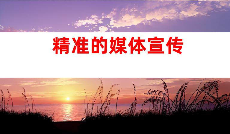 精准的媒体宣传