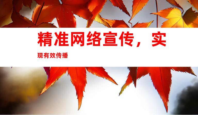 精准网络宣传，实现有效传播