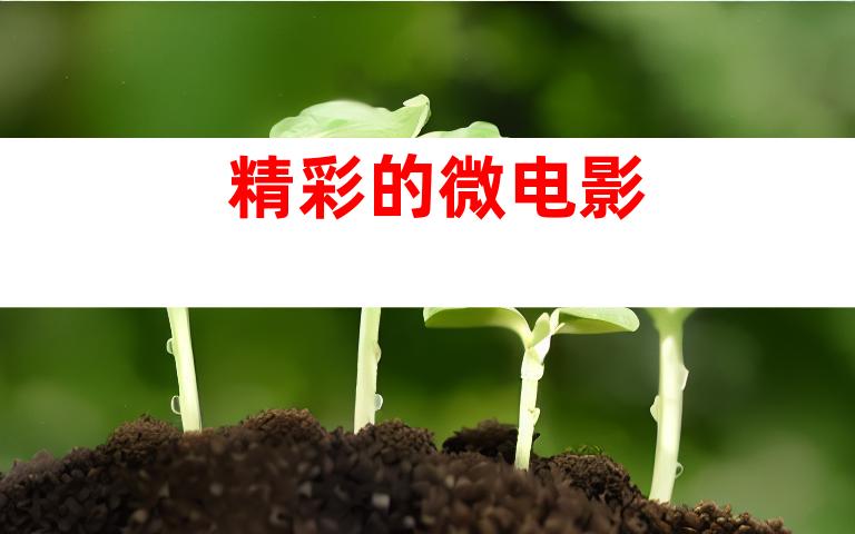 精彩的微电影