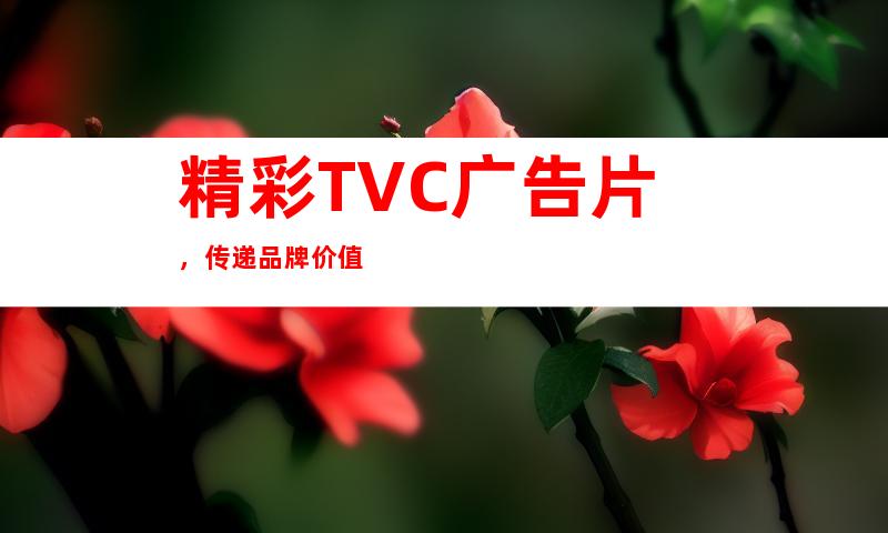 精彩TVC广告片，传递品牌价值