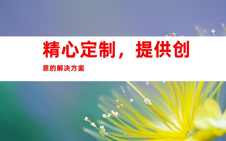 精心定制，提供创意的解决方案