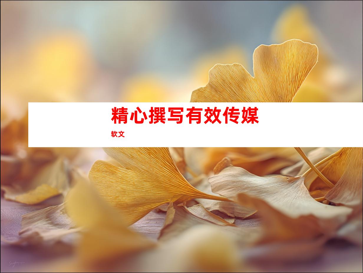 精心撰写有效传媒软文