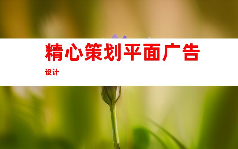 精心策划平面广告设计
