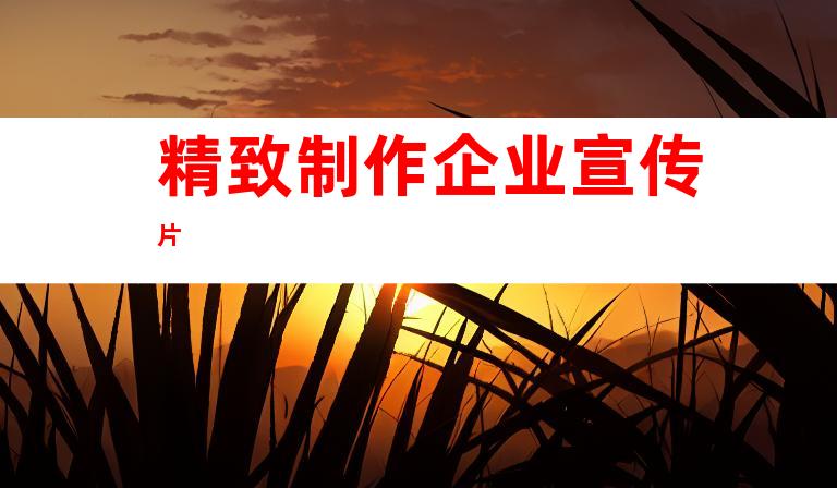 精致制作企业宣传片