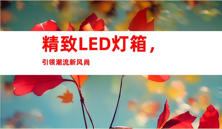 精致LED灯箱，引领潮流新风尚