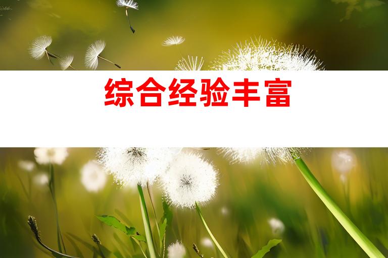 综合经验丰富