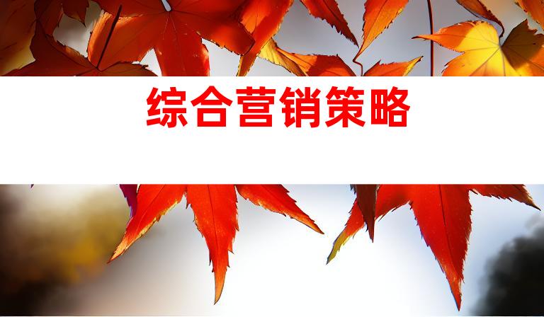 综合营销策略