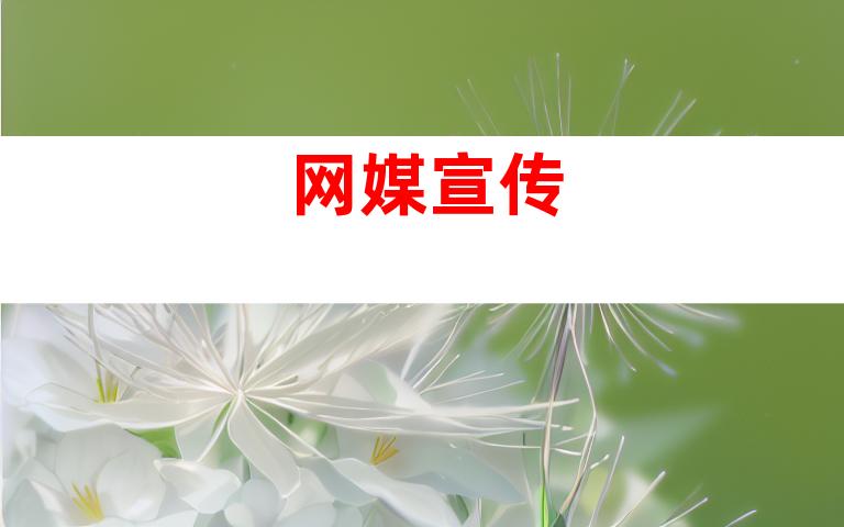 网媒宣传