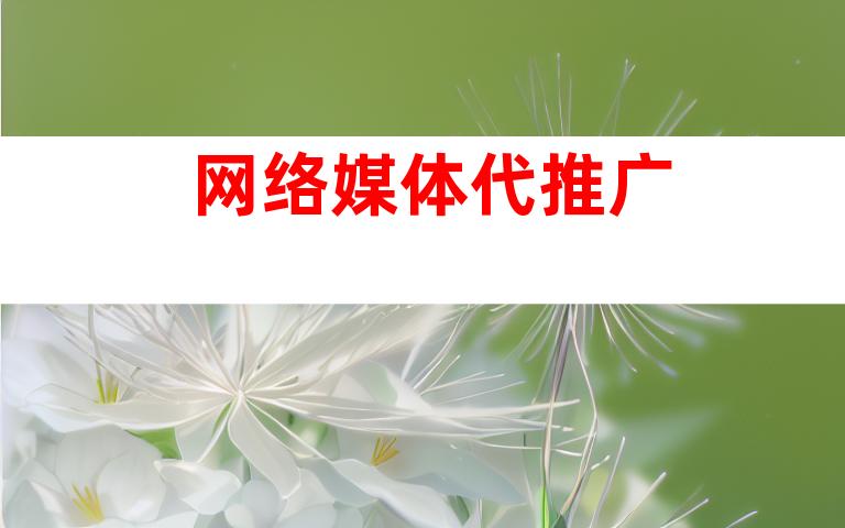 网络媒体代推广