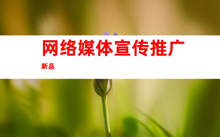 网络媒体宣传推广新品