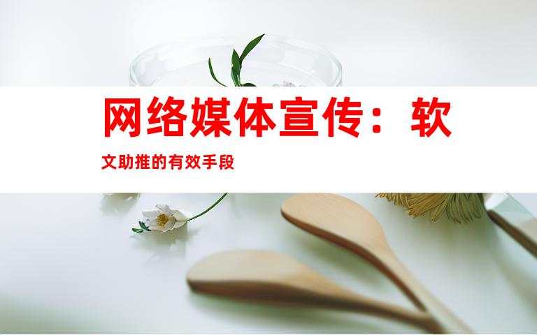 网络媒体宣传：软文助推的有效手段