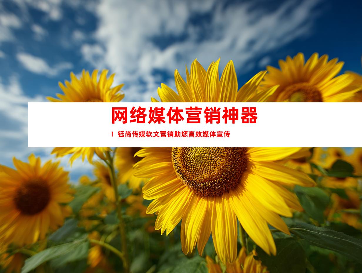 网络媒体营销神器！钰尚传媒软文营销助您高效媒体宣传