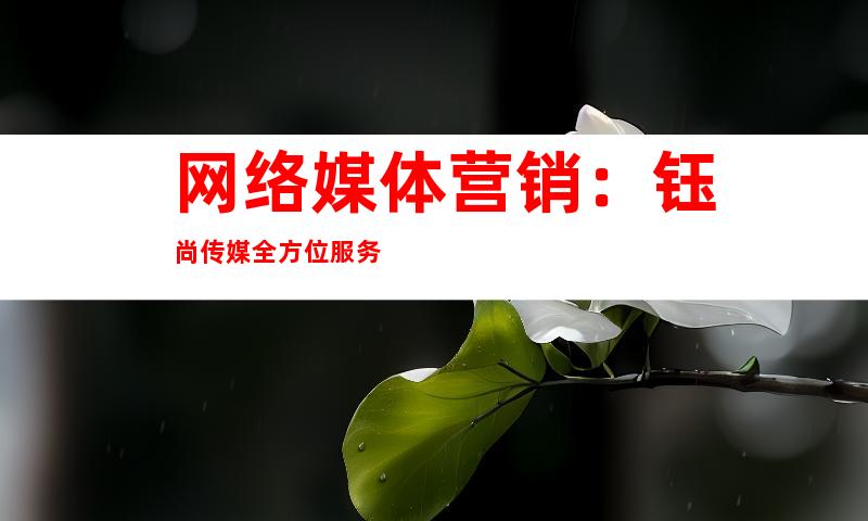 网络媒体营销：钰尚传媒全方位服务