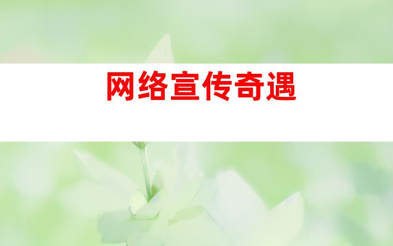 网络宣传奇遇