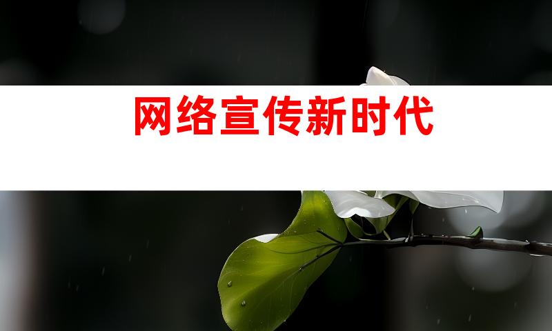 网络宣传新时代