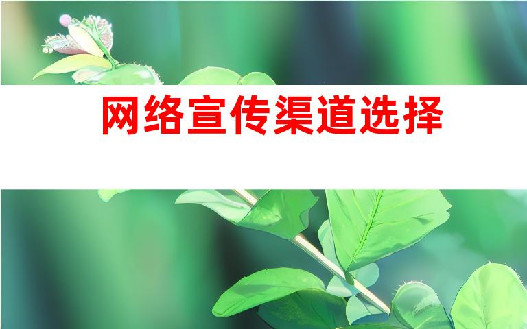 网络宣传渠道选择