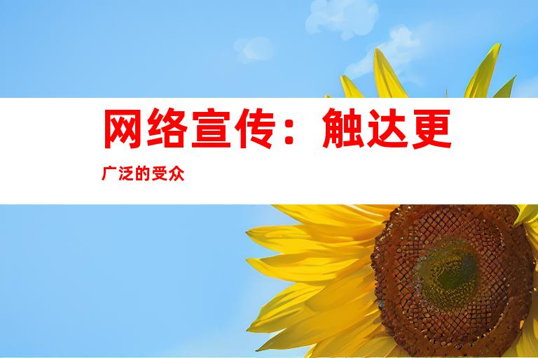 网络宣传：触达更广泛的受众