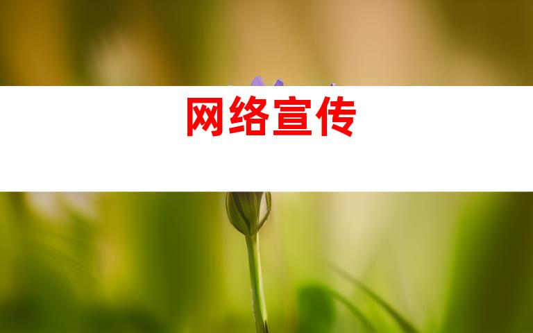 网络宣传