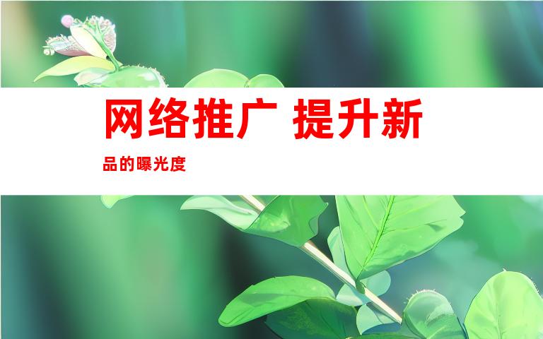 网络推广 提升新品的曝光度