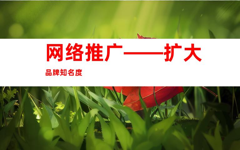 网络推广——扩大品牌知名度