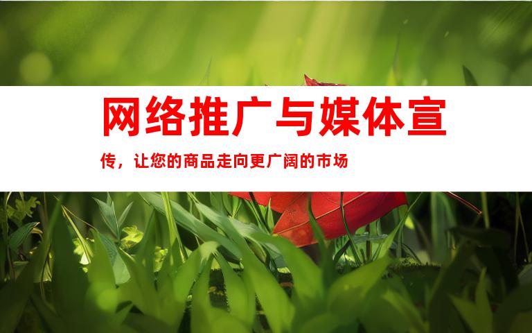 网络推广与媒体宣传，让您的商品走向更广阔的市场