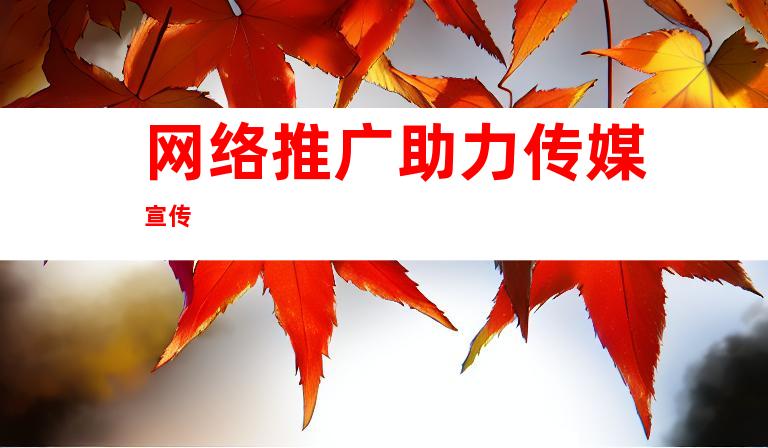 网络推广助力传媒宣传
