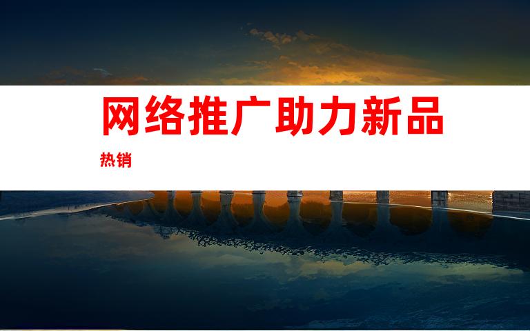 网络推广助力新品热销
