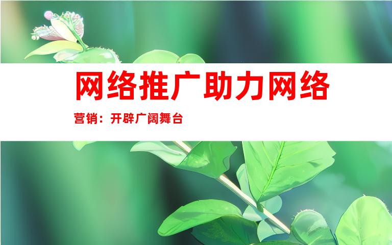 网络推广助力网络营销：开辟广阔舞台