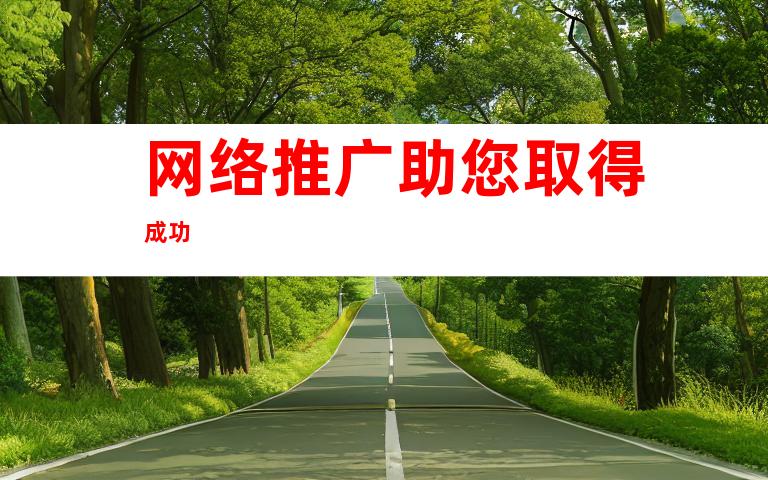 网络推广助您取得成功