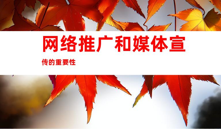 网络推广和媒体宣传的重要性