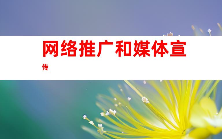 网络推广和媒体宣传