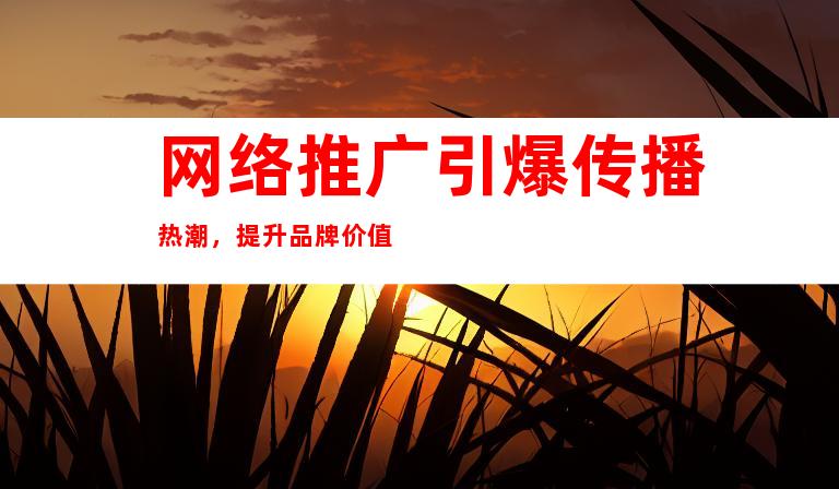 网络推广引爆传播热潮，提升品牌价值