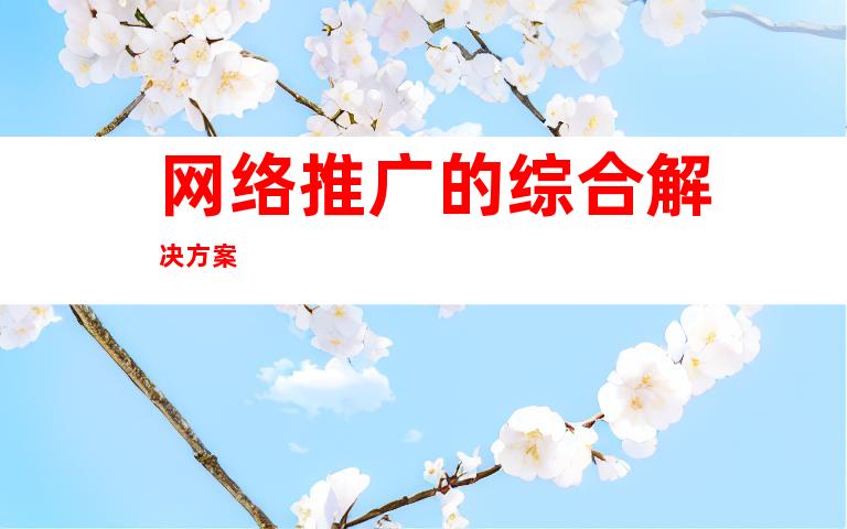 网络推广的综合解决方案