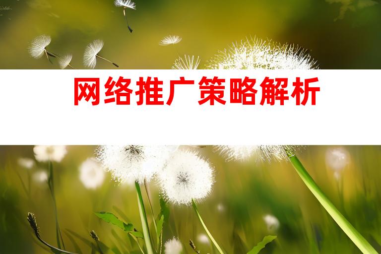 网络推广策略解析