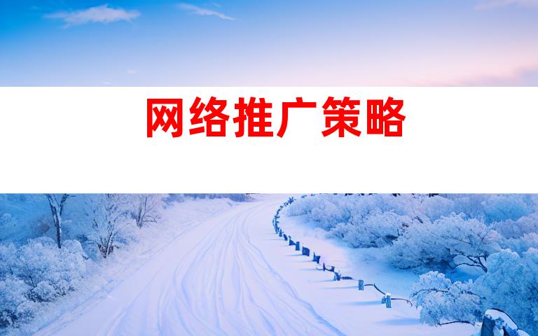 网络推广策略